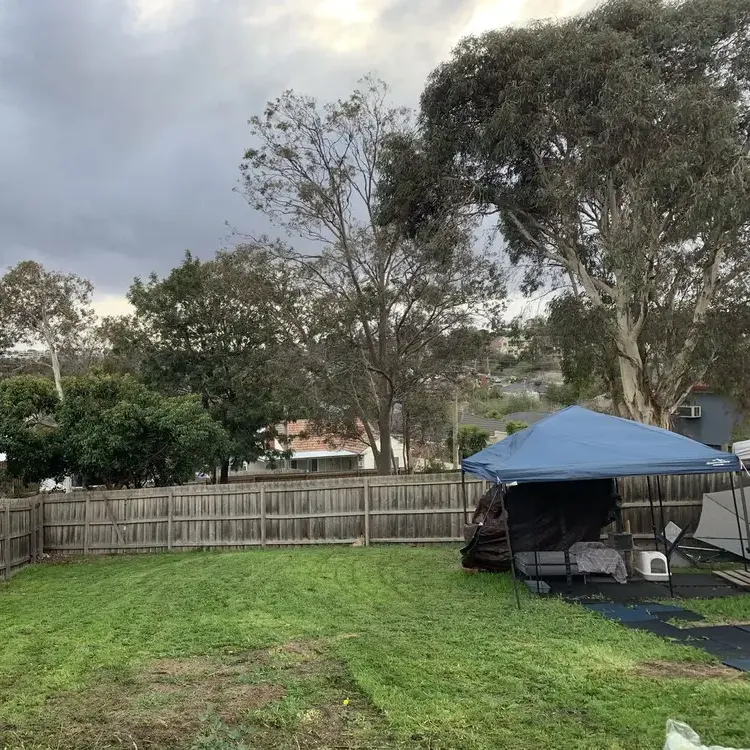 The same backyard mown short and even from fence to fence