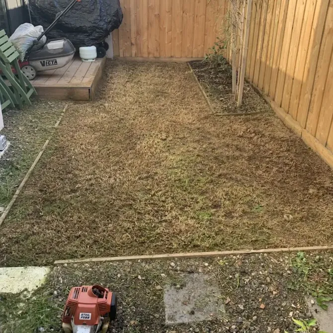 The same courtyard with the grass cut right back and the edges trimmed