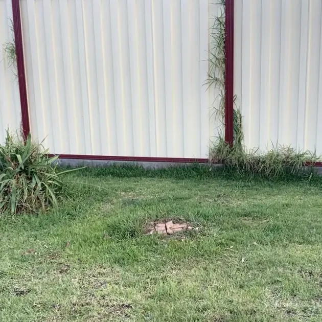 The same lawn with the tree and stump gone, ground back to grass level