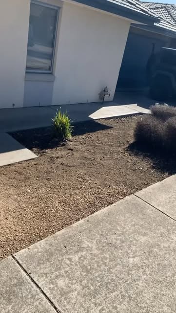 A front yard cleared to bare mulched soil beside a clean path