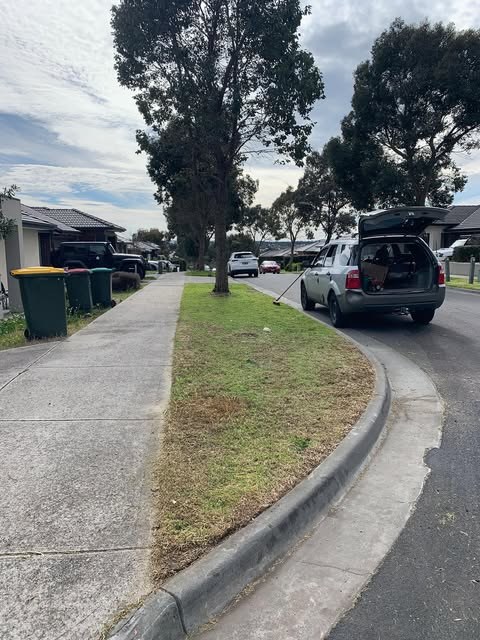 A suburban nature strip and kerb mown and edged
