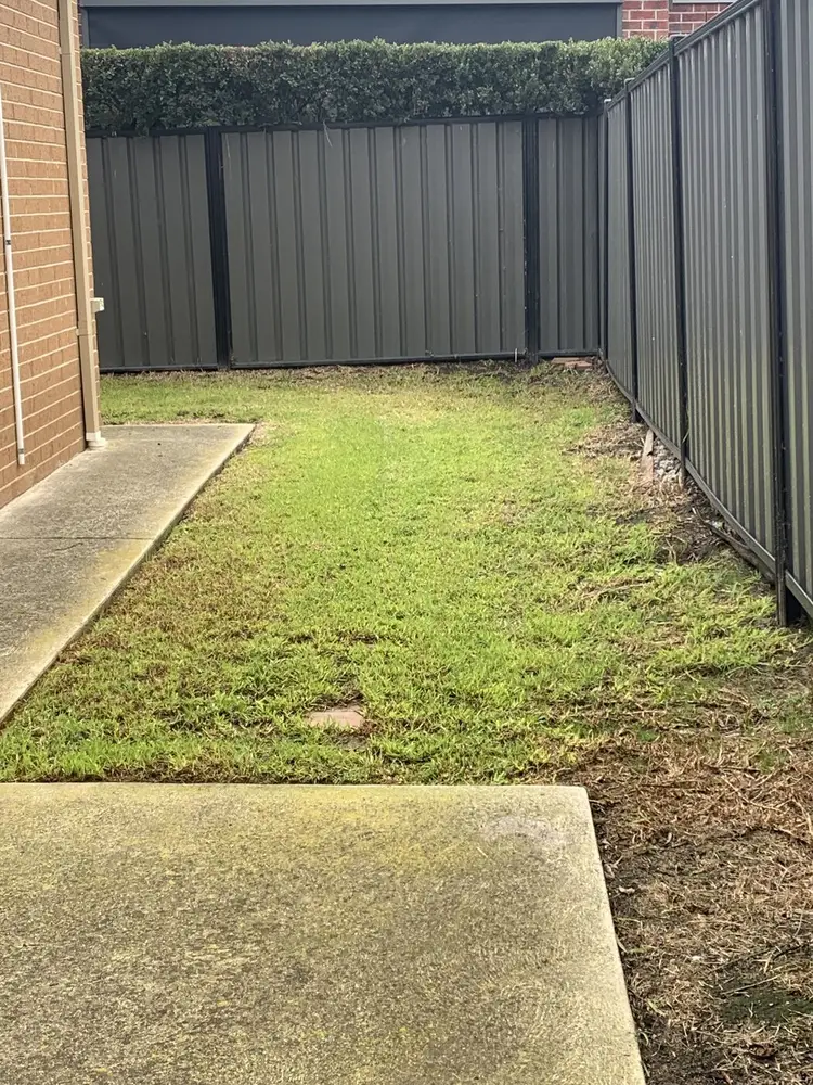 A side yard lawn mown and edged between a path and a Colorbond fence