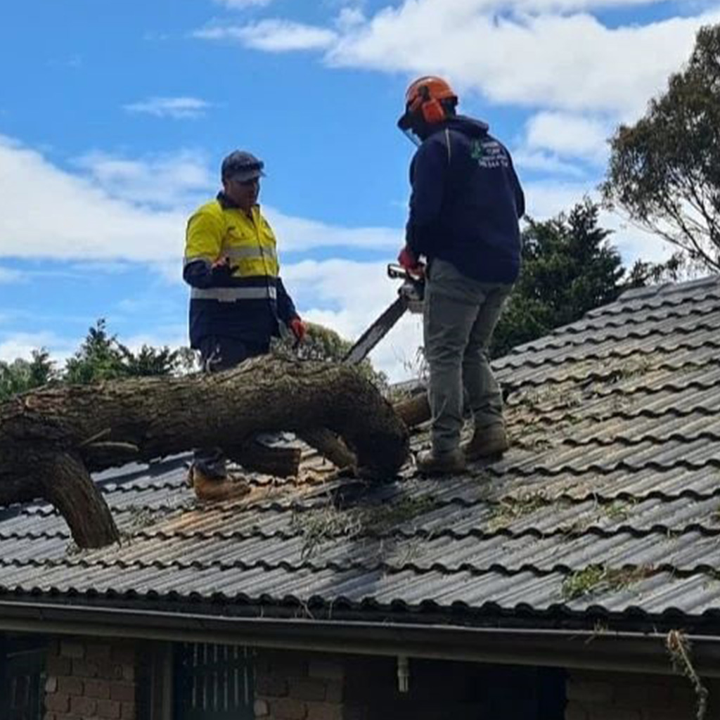 Tree Removal Geelong
